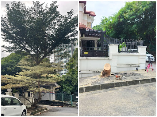 Servis Potong Pokok Mesin Rumput Penang
