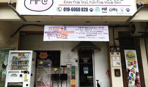 Zoola Ayer Keroh – Hotel Eksklusif untuk Kucing dengan Fasilitas Mewah di Malaysia