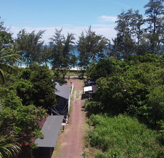 Gambar Kotak Kotak di Borneo: Keindahan Hutan, Flora & Fauna Liar