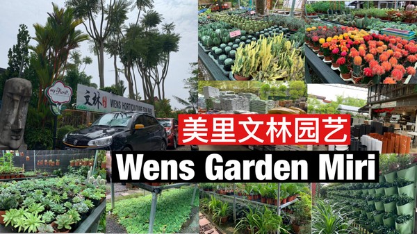 Foto Wens Garden – Keindahan Taman Tropik dengan Flora Eksotik & Pemandangan Menakjubkan