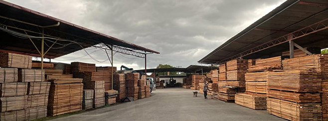 Gambar YF Timber Sdn. Bhd. – Pembekal Kayu Berkualiti Tinggi di Malaysia