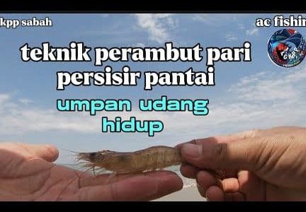 Umpan Hidup Sri Pantai: Keindahan Alam Laut & Kehidupan Marin di Pantai Tropika