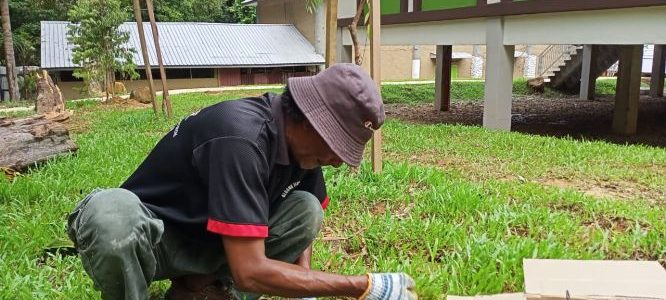 Vita Pest Control – Perkhidmatan Kawalan Perosak Profesional, Efisien & Selamat