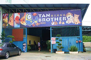 Tan Brothers Aquatic Trading Co. - Pembekal Produk Akuatik Premium di Malaysia | Peralatan Air & Ikan