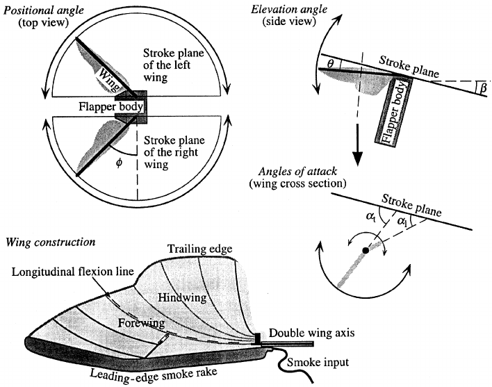 Peng & Wing Construction: Projek Pembinaan Berkualiti Tinggi & Reka Bentuk Moden