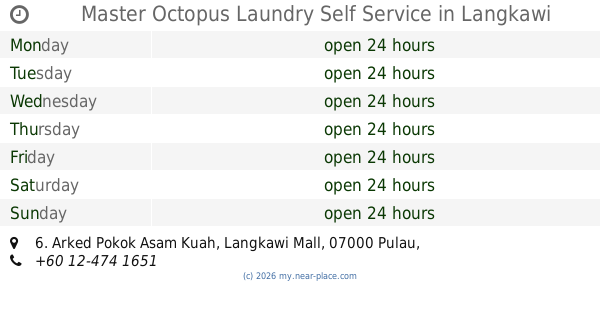 Perkhidmatan Cuci Kain 24 Jam Master Octopus – Layan Sendiri, Cepat & Selamat